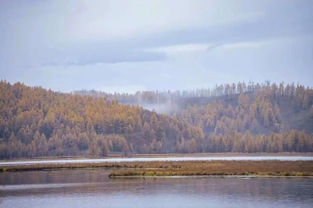 阿爾山杜鵑湖