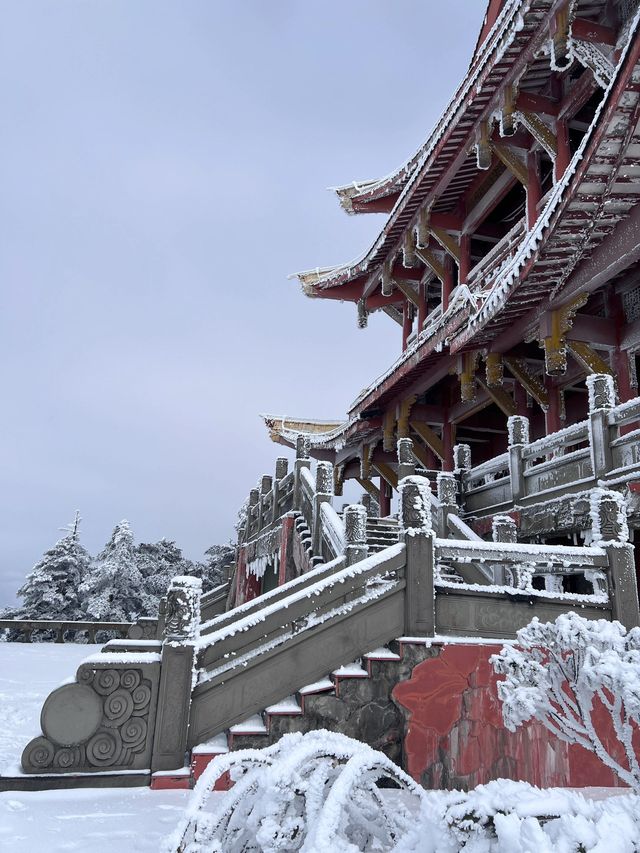 2日暢遊青城山-都江堰景區 不看你就虧大了