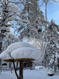 雪鄉十里畫廊 | 現實版冰雪奇緣，南方小土豆必衝！