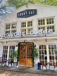 Lucky Cat Coffee & Kitchen