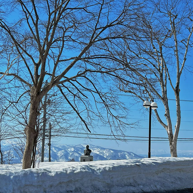 Niseko เมืองหิมะแห่งญี่ปุ่ญ