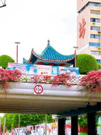 Mid-Autumn Festival in Chinatown Singapore 