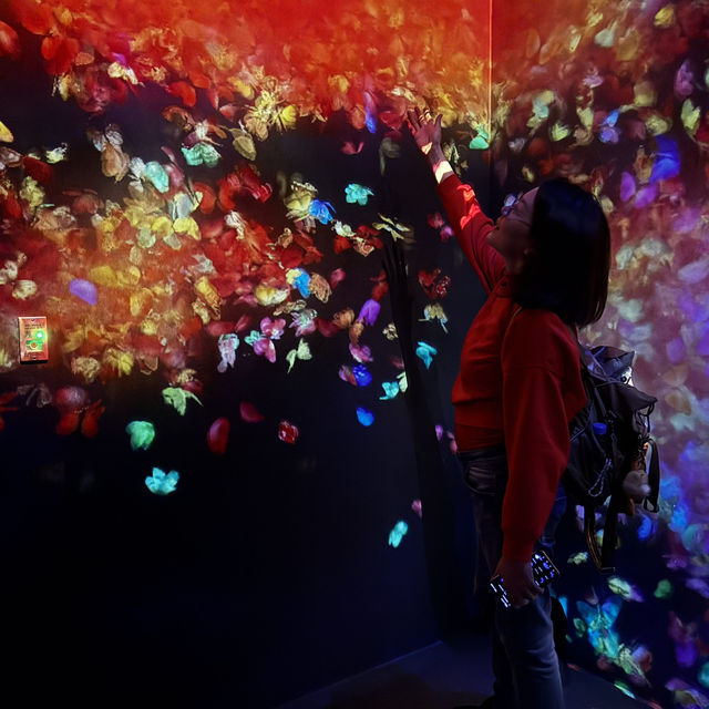 Magical experience at teamLab Forest