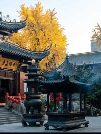 Mingjiao Temple (明教寺): A Historic Buddhist Sanctuary in Hefei