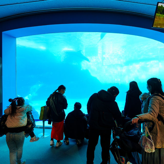 名古屋港水族館