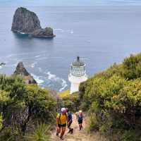 Guiding Lights and Epic Hikes: Discover Cape Brett Lighthouse