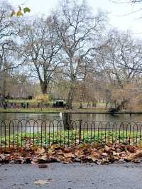 🇬🇧 Relaxing at St. James Park, Central London