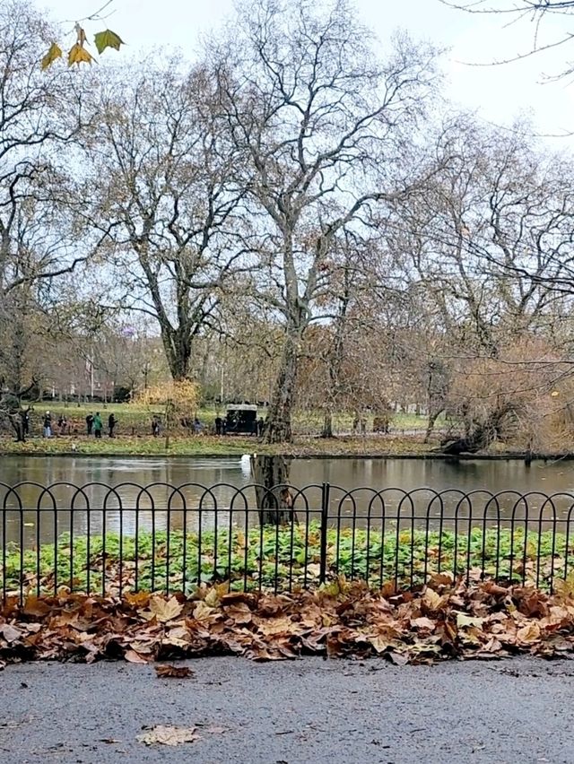 🇬🇧 Relaxing at St. James Park, Central London