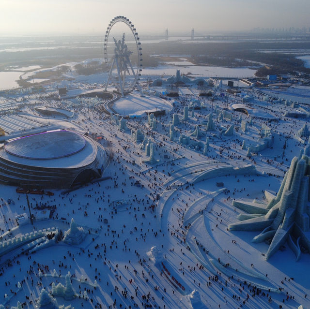 Frozen Magic: My Harbin Ice and Snow Festival Adventure