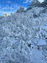 次看到蒼山雪了，感受到了生命的大自在