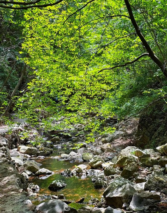 一個人少景美的避暑勝地，堪稱“人間仙境”