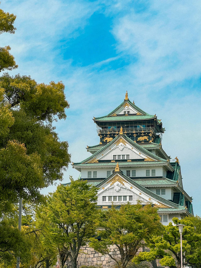 Osaka Castle is Breathtakingly Beautiful 🏯🇯🇵