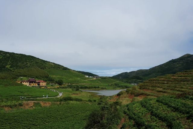 嵛山島，海上明珠的詩意畫卷。