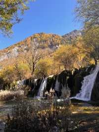 Exploring Jiuzhai Valley: A Natural Wonderland