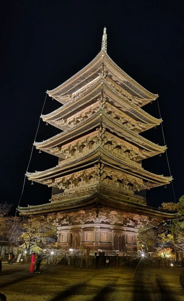 Experience the Enchanting Night Maple at Toji Temple