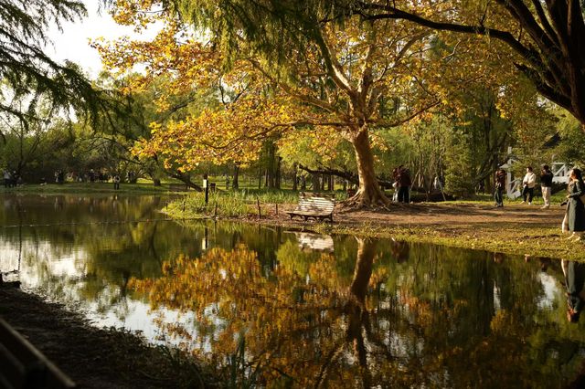 森林公園的光與影。