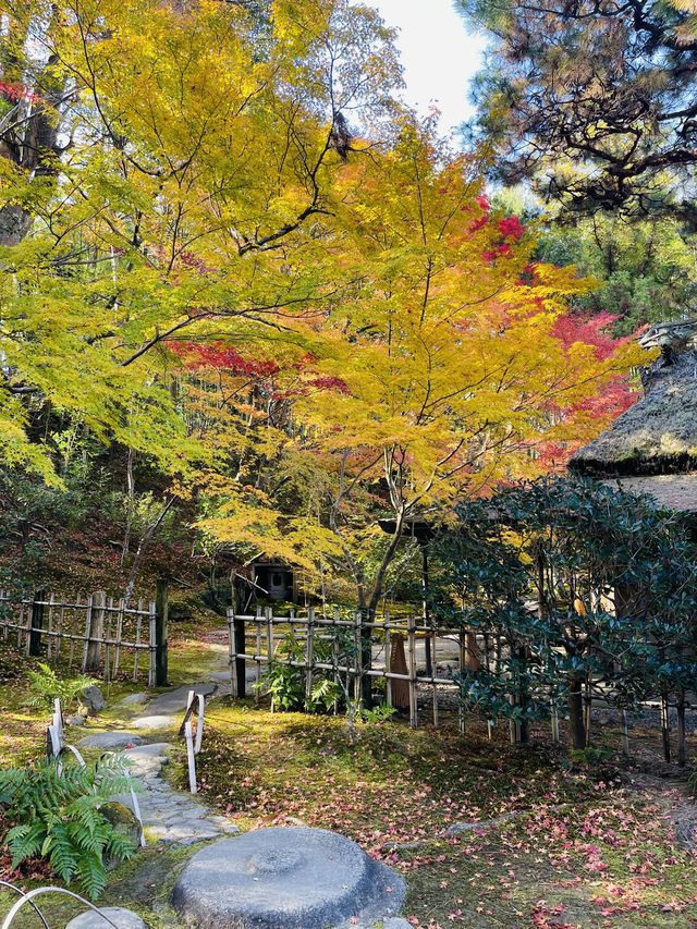 日本·奈良吉城園