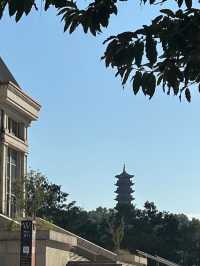 深圳大山陂公園