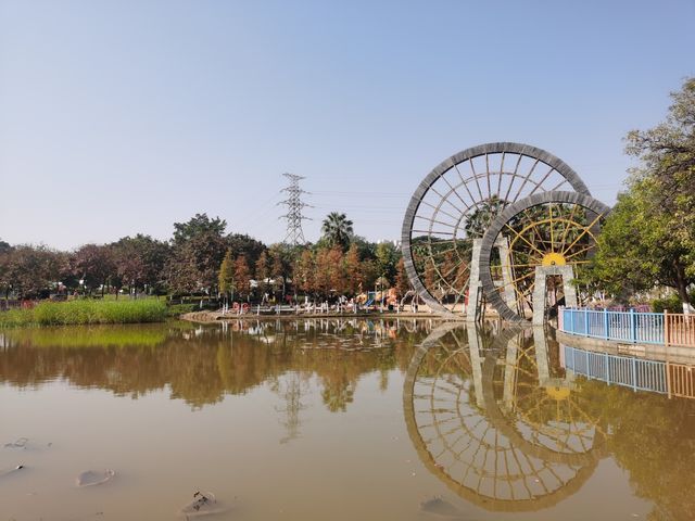 賞秋好去處，童夢樂園｜番禺區兒童公園