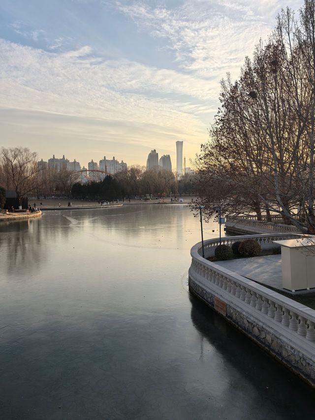 【冬日暖陽】朝陽公園，冬日裡的城市綠洲