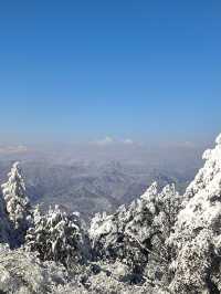 2日暢遊青城山-都江堰景區 不看你就虧大了