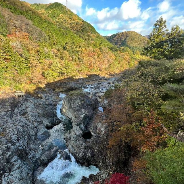 「那智瀑布：壯麗景緻，山水和諧」