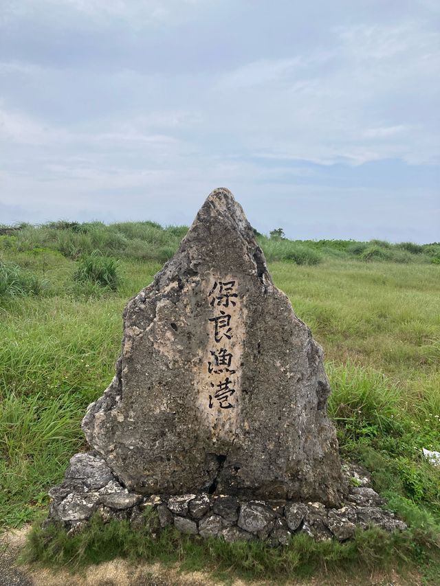 바다거북을 만날 수 있는 미야코지마 스노클링 명소!