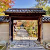 A Journey Through Kodaiji Temple's Fall Splendor