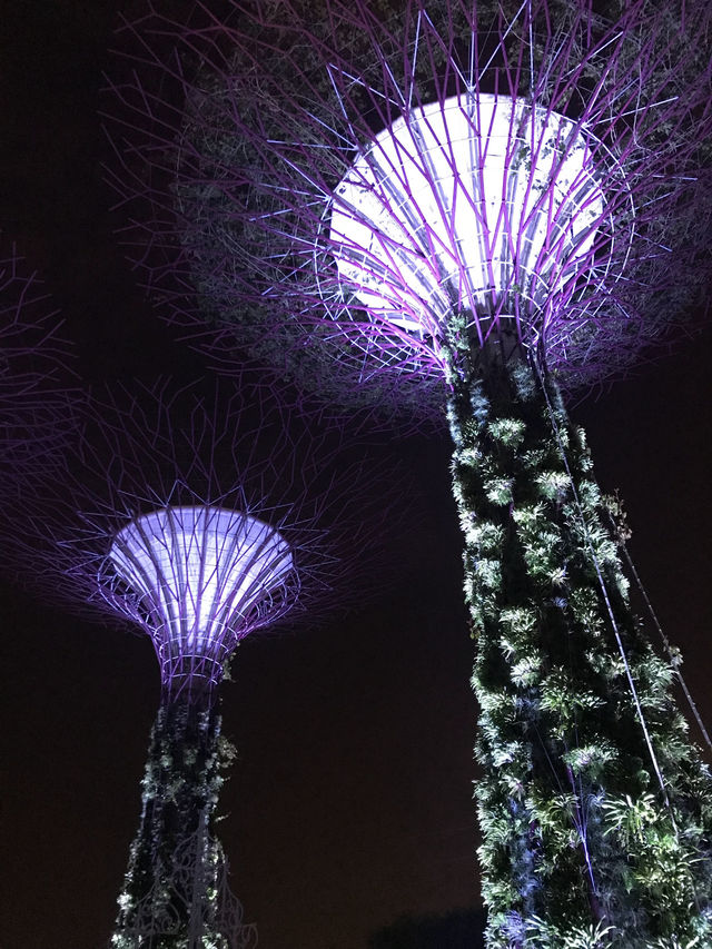 A futuristic Garden - Gardens by the Bay: Spectacular Fusion of Nature and Technology