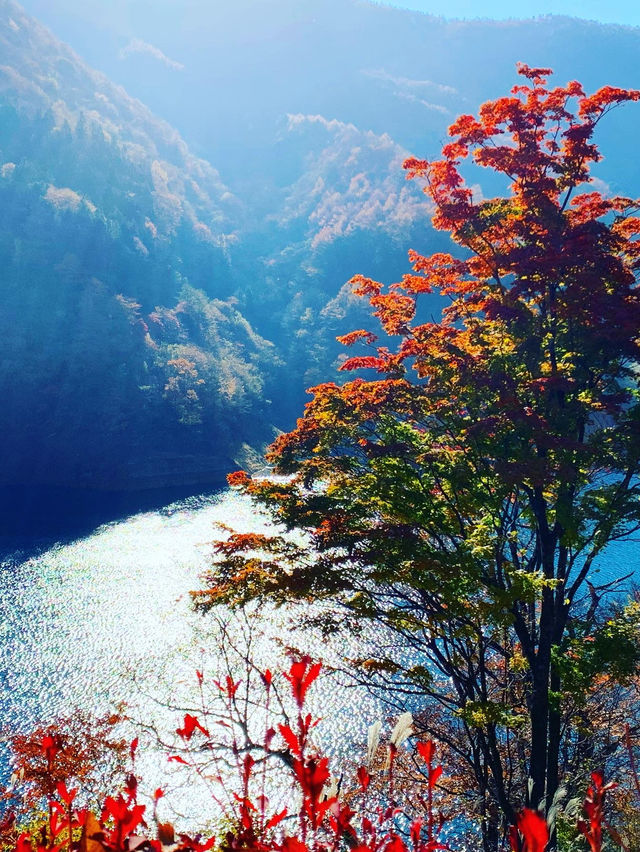 【群馬×秋】  《奥四万湖》   真っ赤な紅葉と四万ブルーの絶景