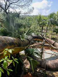 Abandoned water park in Vietnam 