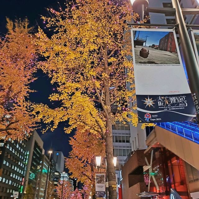 【大阪】御堂筋『大阪光の饗宴』クリスマスライトアップ