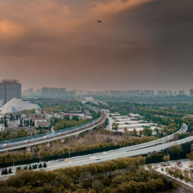 Trees and Reflections of Xi’an 