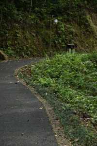 漳州平和｜N座寺N座山，靈通山遊記（附攻略||