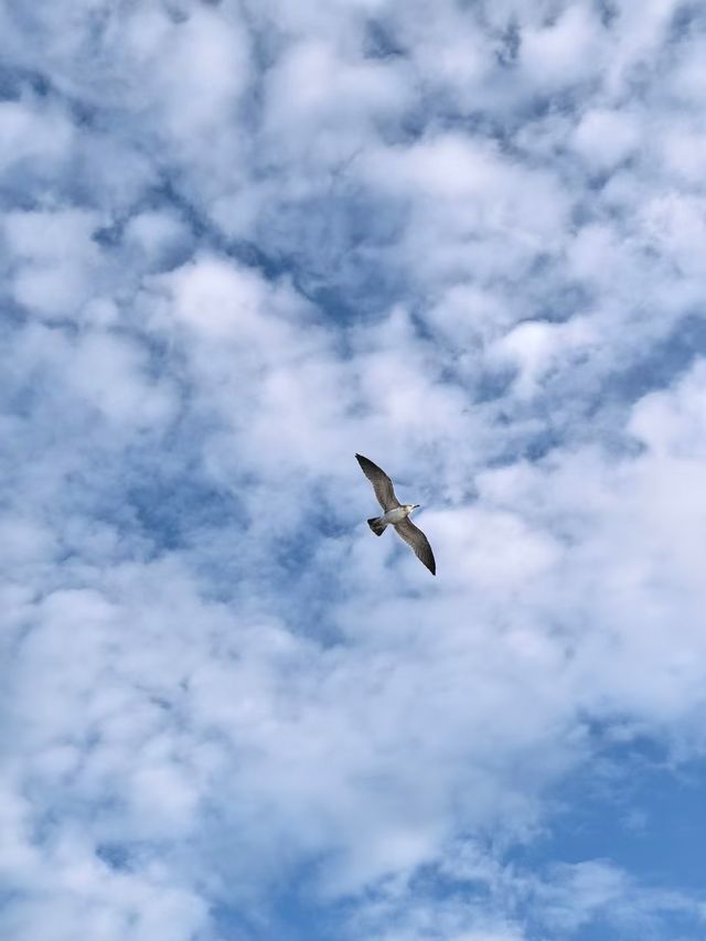 乘風破浪，我的葫蘆島出海記～。