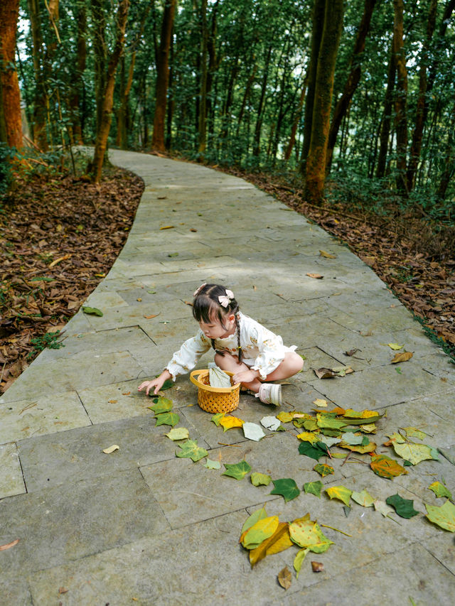 南寧良鳳江森林公園｜可乘公交進山徒步撿秋去！