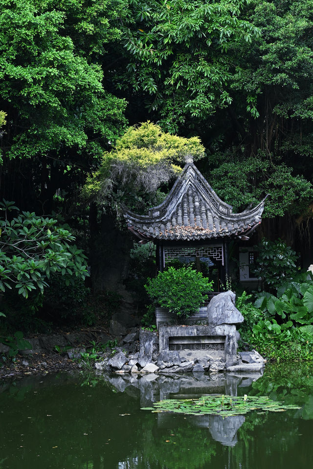 深圳小江南 | 地鐵直達免門票 | 機位大放送。