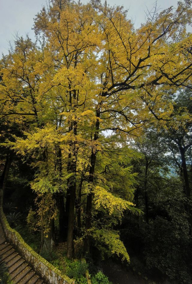 四川白岩寺|千年古剎。