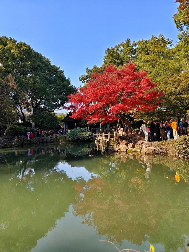 地鐵4號線直達，這裡的秋冬景色火出