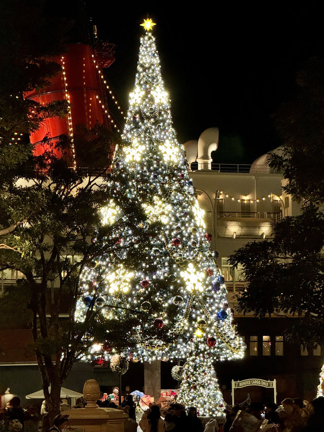 Tips for Visiting Tokyo DisneySea During Christmas