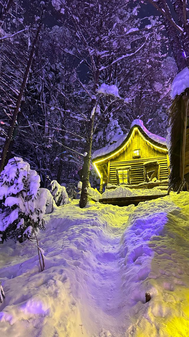 亞力布雪鄉旅遊攻略