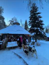 天啊！我住進了夢中的冰雪童話世界