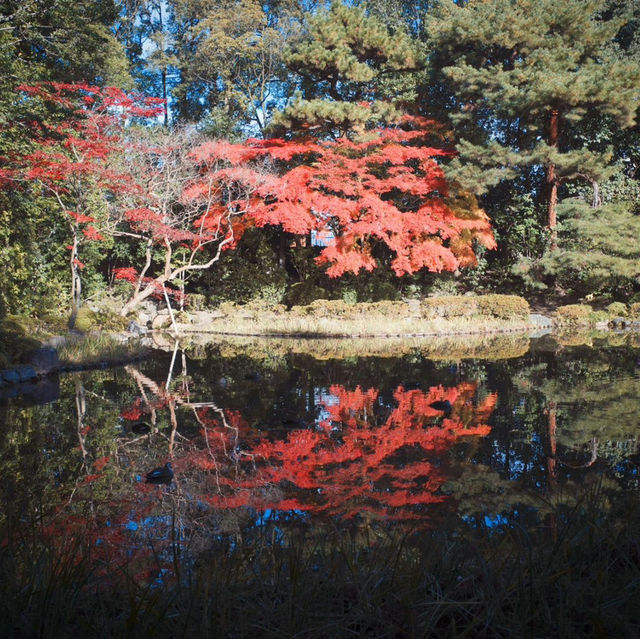 京都平安神宮：歷史與雄偉交織的神聖殿堂