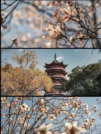 昆明昙華寺