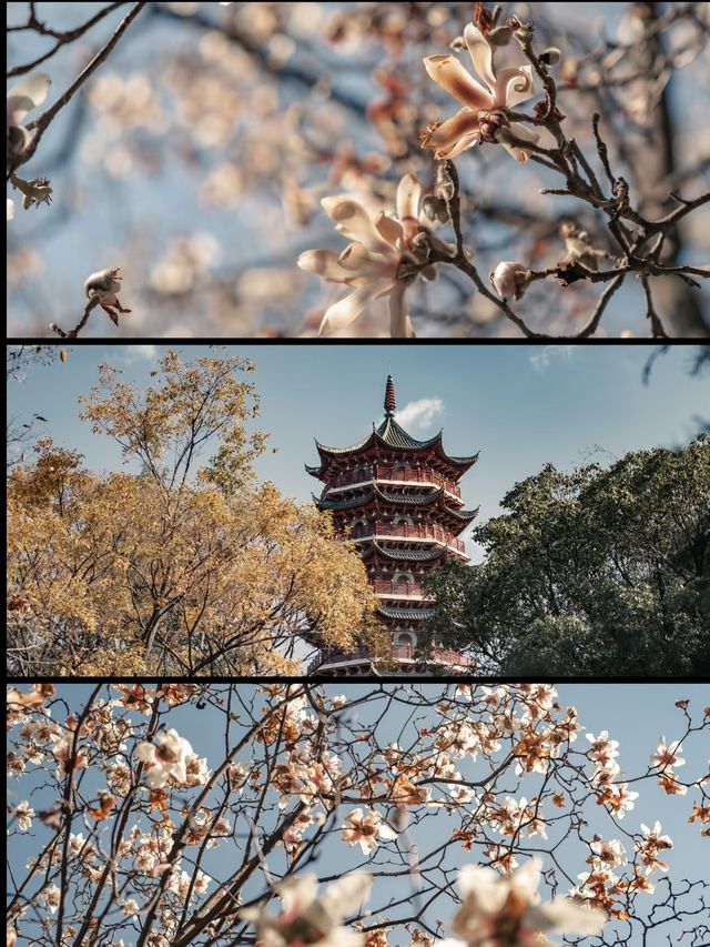 昆明昙華寺