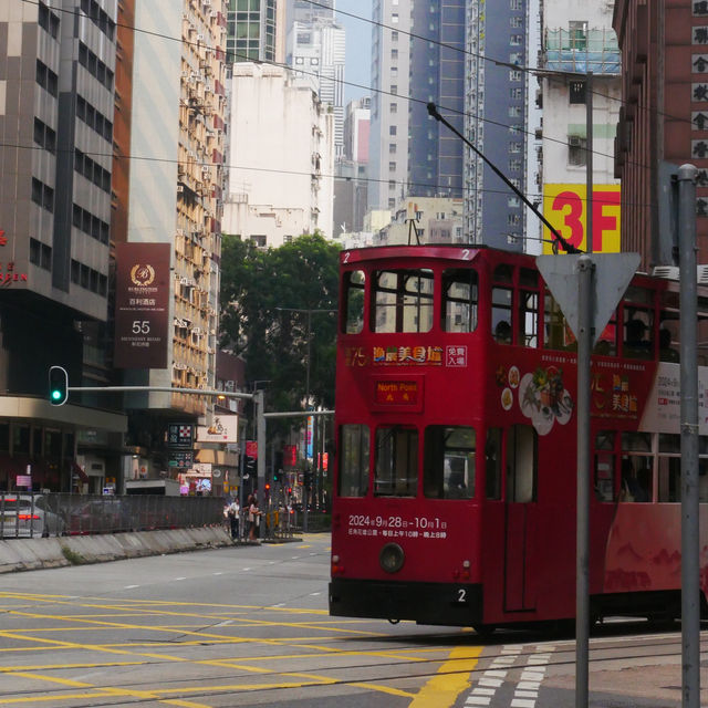 Vibrant Adventures in Hong Kong