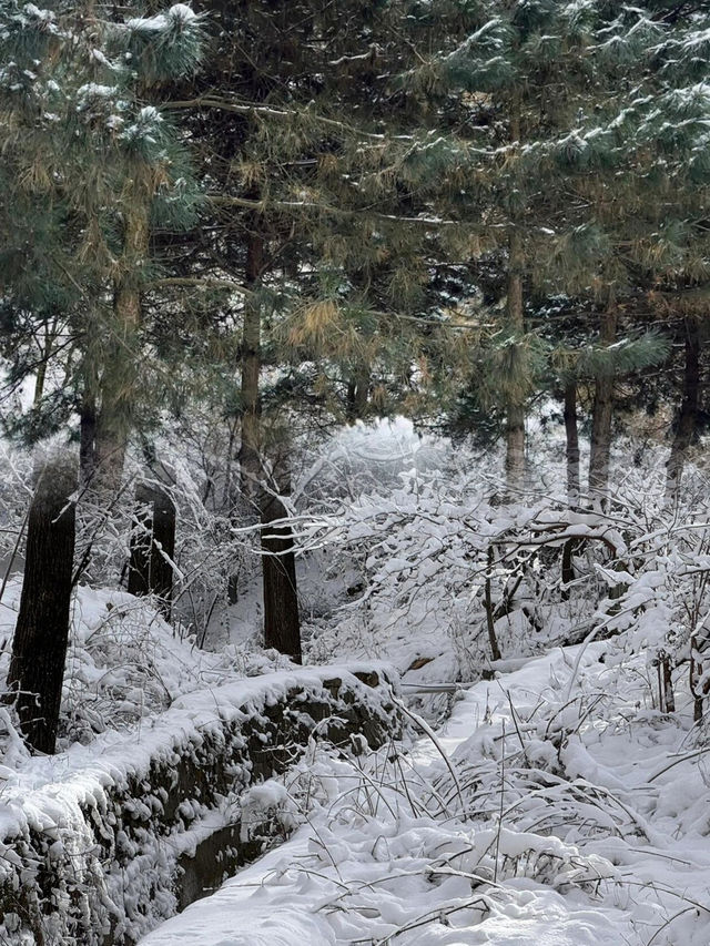 西安翠華山滑雪場 | 冬日裡的速度與激情