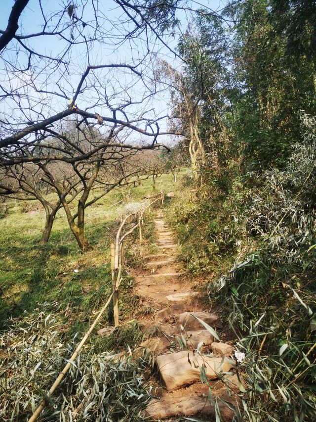 鶴鳴山｜探索自然的奧秘