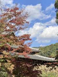 秋韻南禪寺