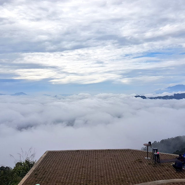 Lolai, Toraja's Land Above the Clouds